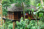 Kerala Tree house