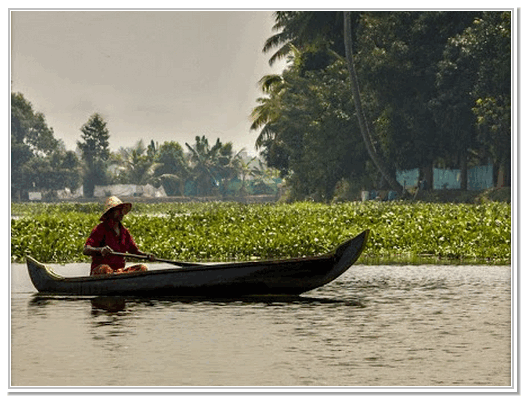 canoe-in-backwaters