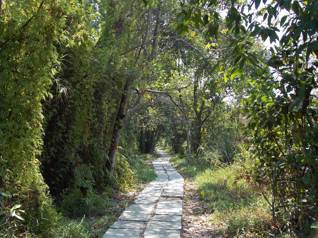 pathiramanal-island-walkway-toursit-spot