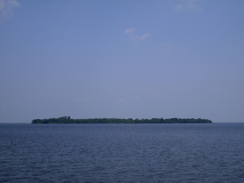 Pathiramanal island in backwaters