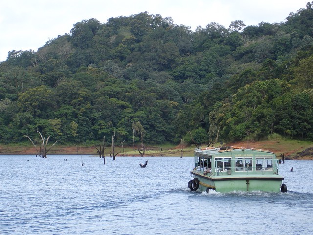 Thekkady’s scenic beauty along with its wildlife can be viewed in a boat ride in the lake