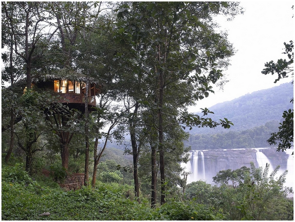 athirapally-rainforest-treehouse