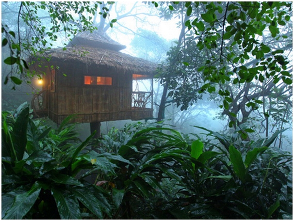 http://irisholidays.com/keralatourism/wp-content/uploads/2014/02/vanya-tree-house-thekkady.jpg