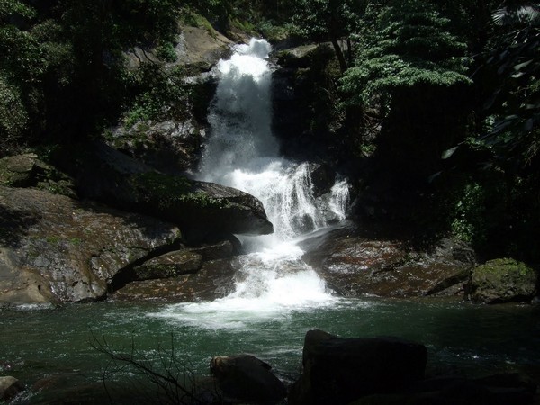 Meenvallam waterfall is a a combination of enchanting beauty and scenic splendor.