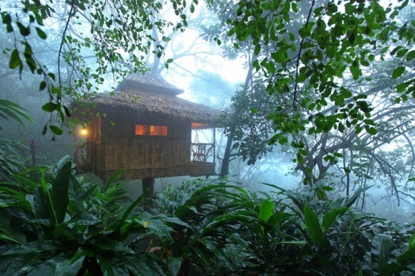 Treehouse in Kerala is creating the true experience to immerse in nature.
