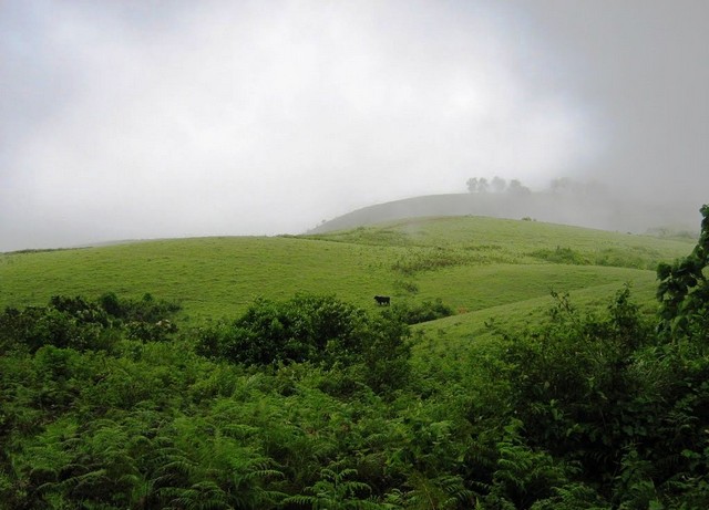 vagamon-green-meadows
