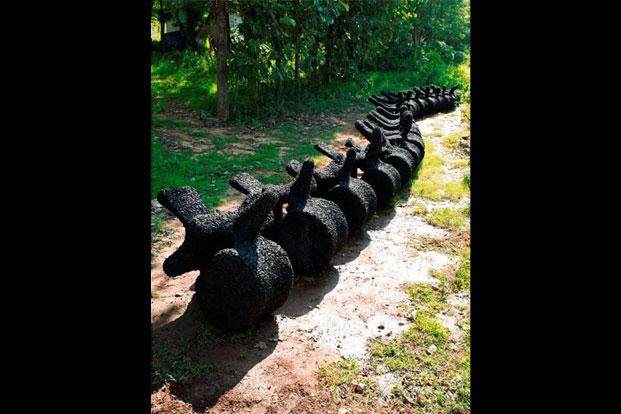 Shanthamani Muddaiah’s Backbone (2014), a serpent-like installation in the form of a spinal column, a symbol for the artist of the forces that hold civilisations together.