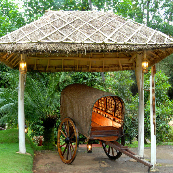 bullock-cart-ride-in-Kerala