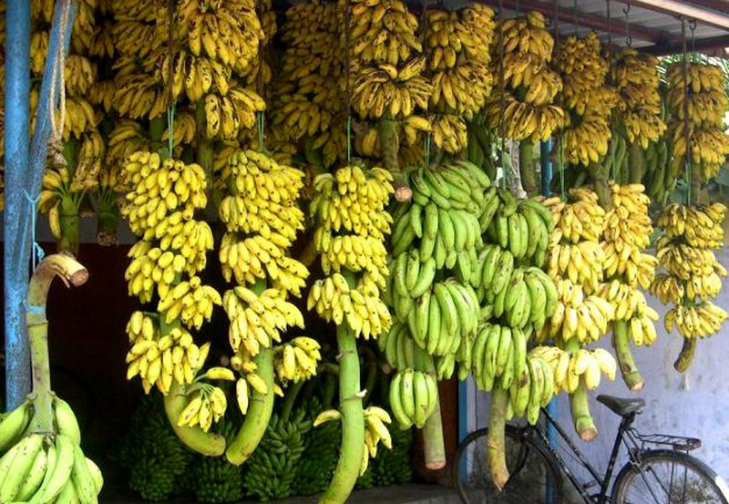 A Banana Shop in Kerala 