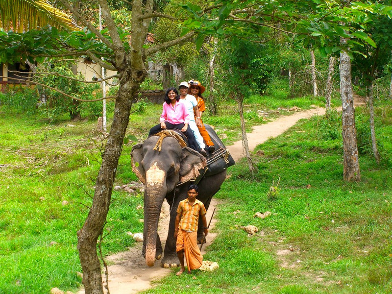 Kerala Elephant Ride