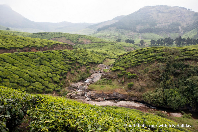 kerala-hillstations