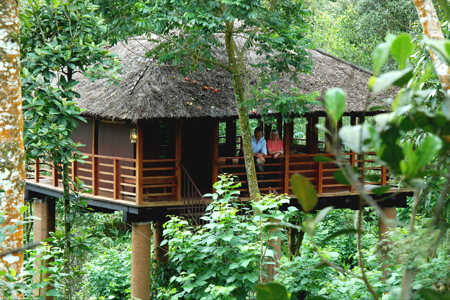 kerala-tree-house