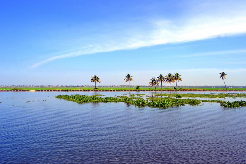 kuttanad-kerala-visit