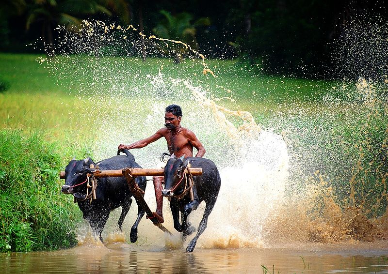 Kerala trip