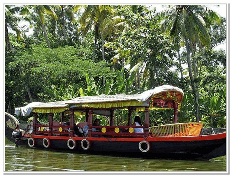 shikara-boat-backwaters-trip
