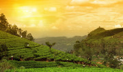 Complete list of 70 best things to do in Kerala with Photos Complete list of 70 best things to do in Kerala with Photos
