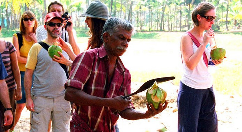 tender-coconut-water-kerala