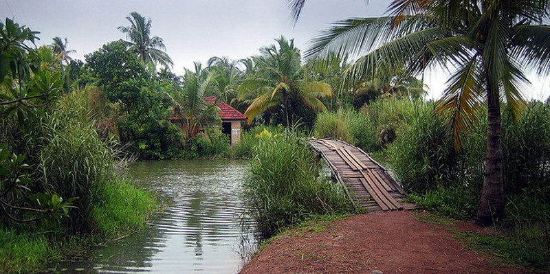 coconut-wooden-bridge-kerala