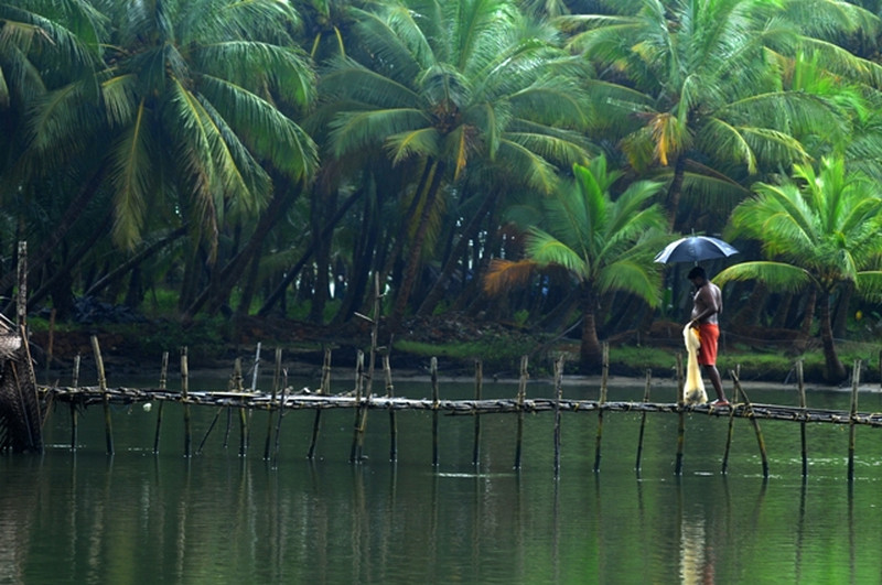 Hd Wallpapers Nature Kerala