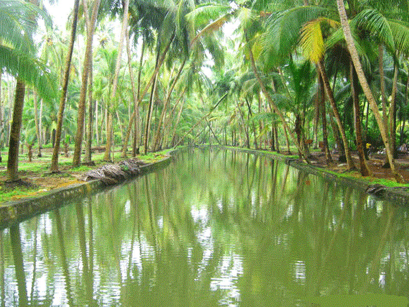 kerala-photos-vadanapally