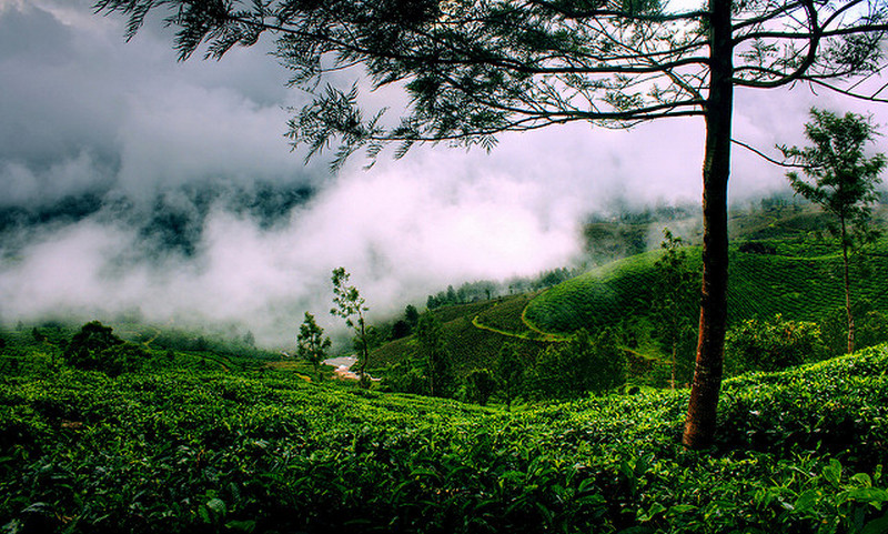 kerala nostalgic wallpapers