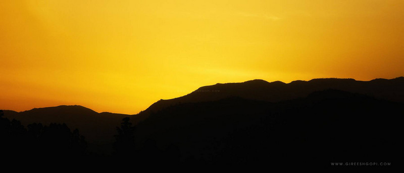 Sunrise in Munnar 