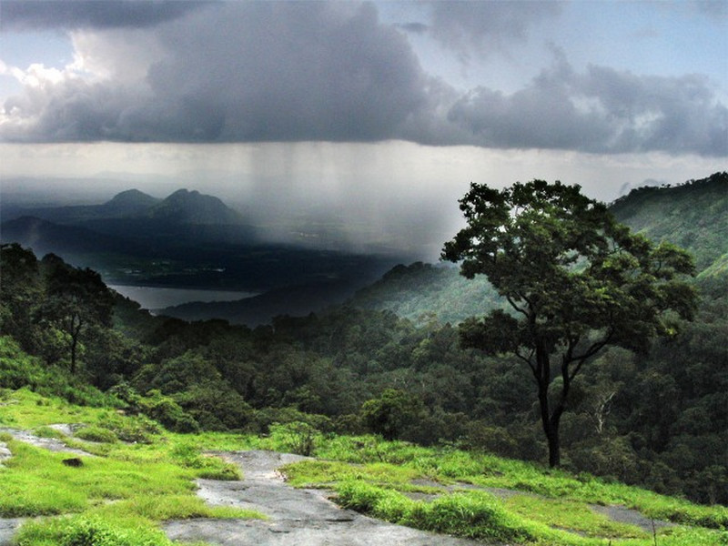 rain--kerala-photos