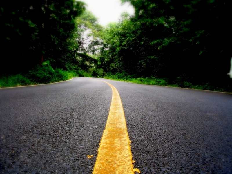 road-through-woods-kerala-pictures