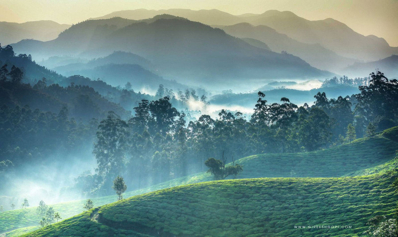 best places to visit in munnar