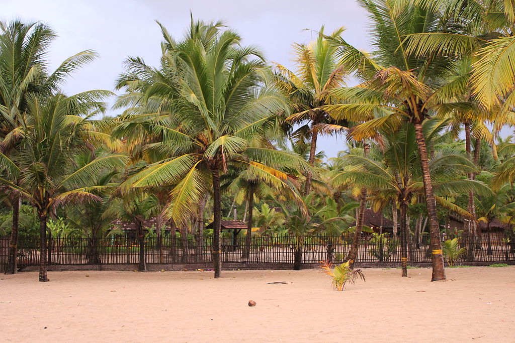 marari-beach-kerala