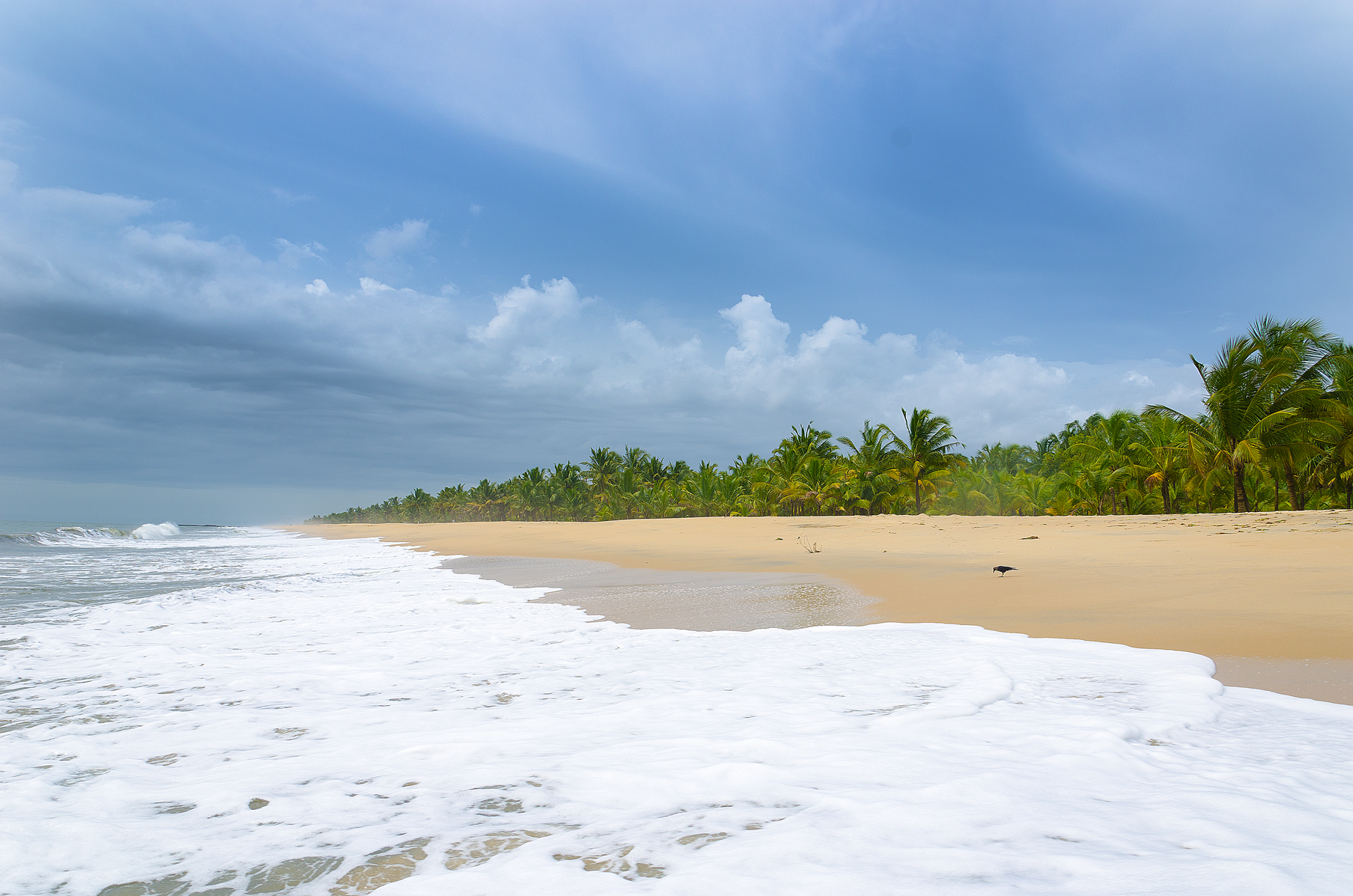 marari-beach-kerala