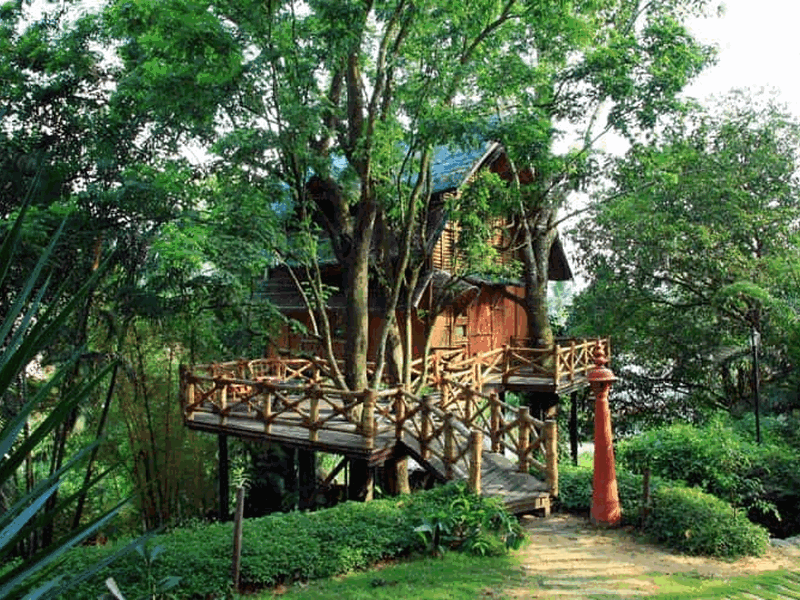 bamboo-tree-house-green-gates-hotel-kerala-wayanad