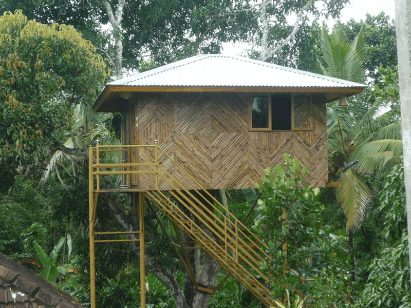 hiliya-resort-wayanad-kerala-treehouse