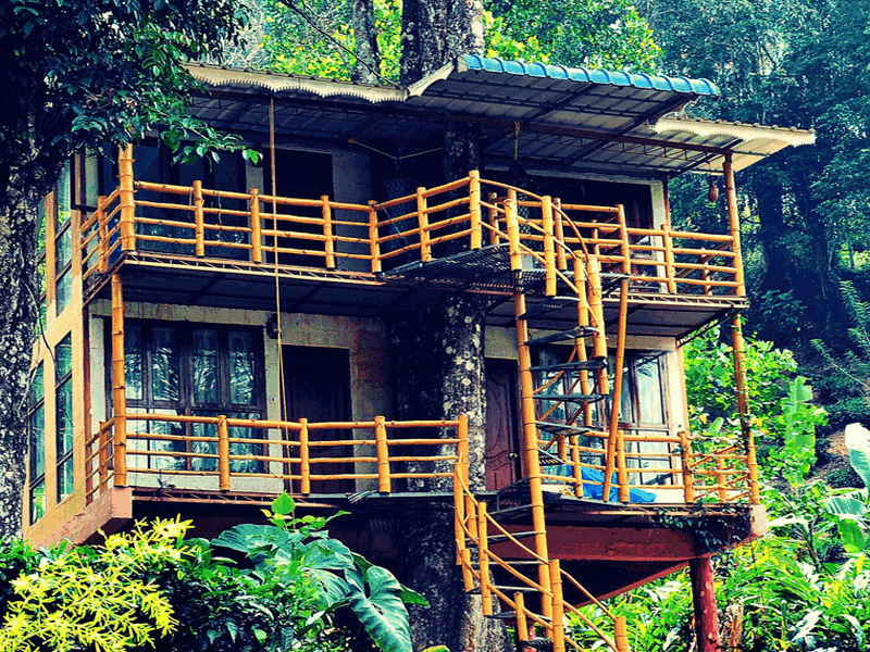 jungle-jive-treehouse-kerala-treehouse-resort-munnar