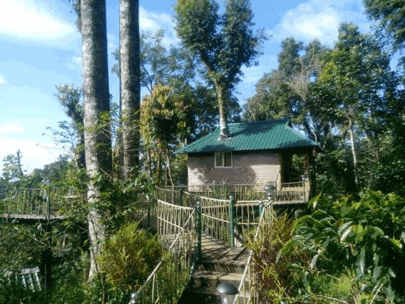 kaivalyam-retreat-treehouse