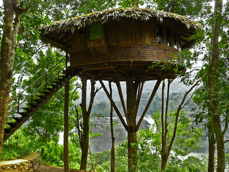 rainforest-resort-athirapilly-kerala-treehouse-waterfalls