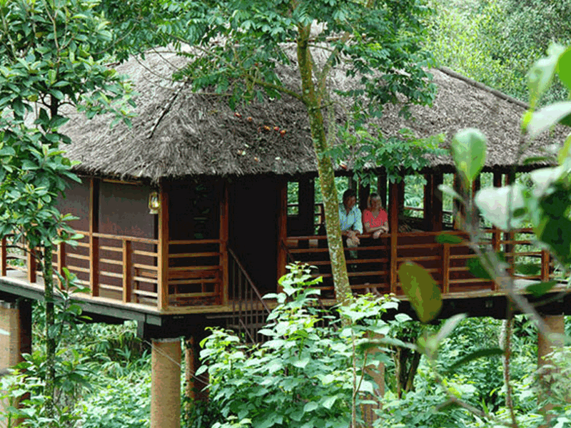 Treehouse in Thekkady
