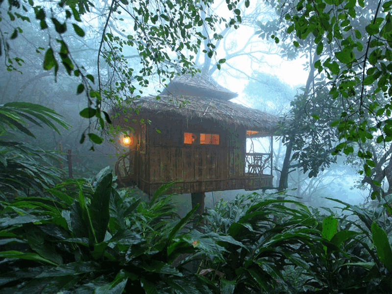 vanya-treehouse-thekkady-kerala-treehouse