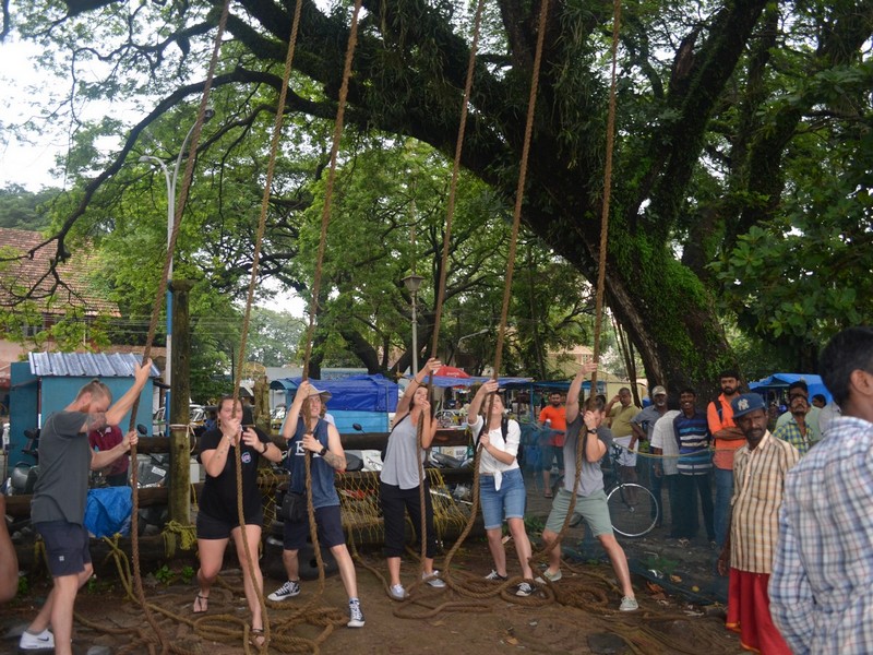 Catching some fish and Pulling up the Chinese Fishing Nets,Cochin,India — in Fort Cochin.