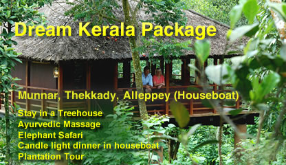 Dream Kerala Package