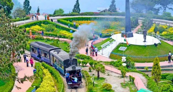 Darjeeling Delight