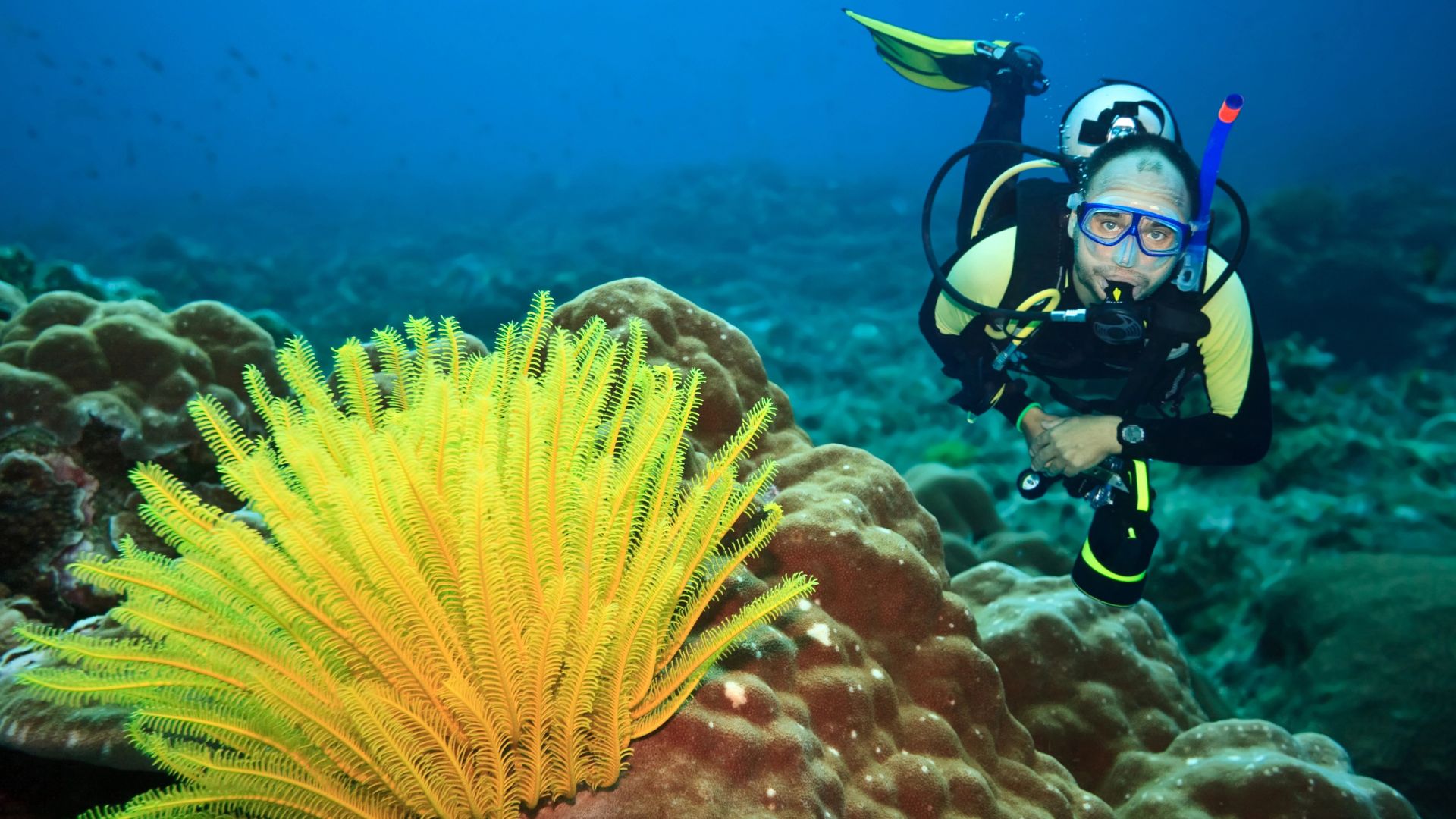 scuba-diving-thailand