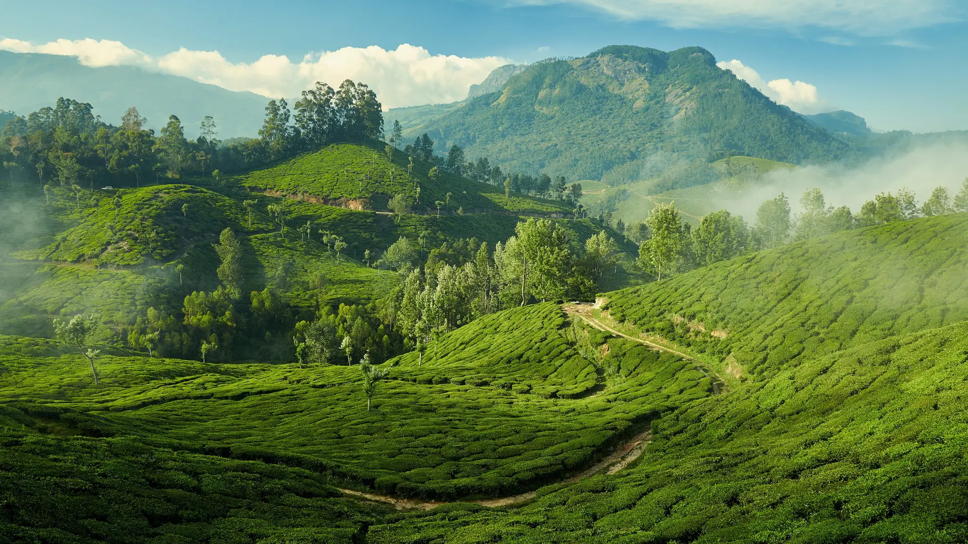 Top 10 Hill Stations In Kerala For A Pleasant Vacay!