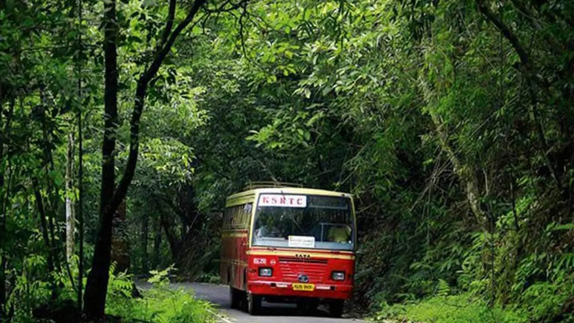 How To Get From Kochi To Athirappilly Falls By Bus, Train & Taxi