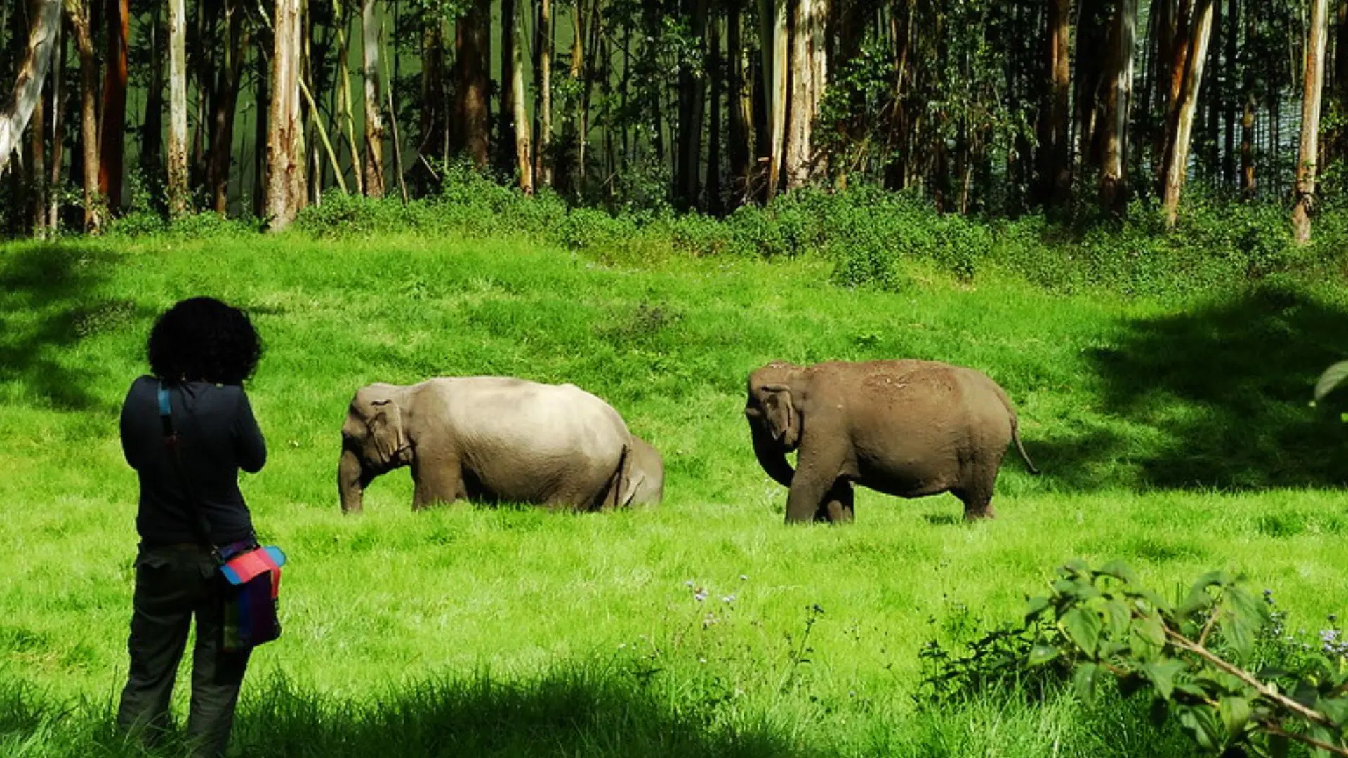 Munnar Distance Chart-Your Quick Guide to reach Munnar