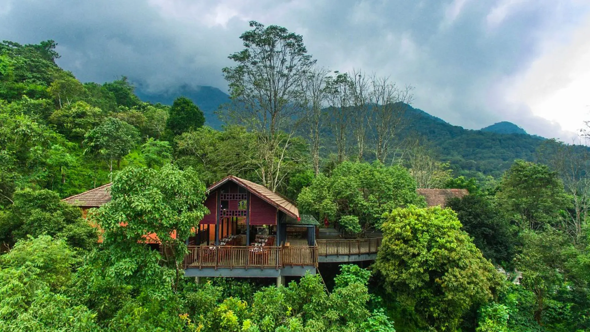 Top 5 Treehouses in Wayanad for a Magical Stay Amid Nature