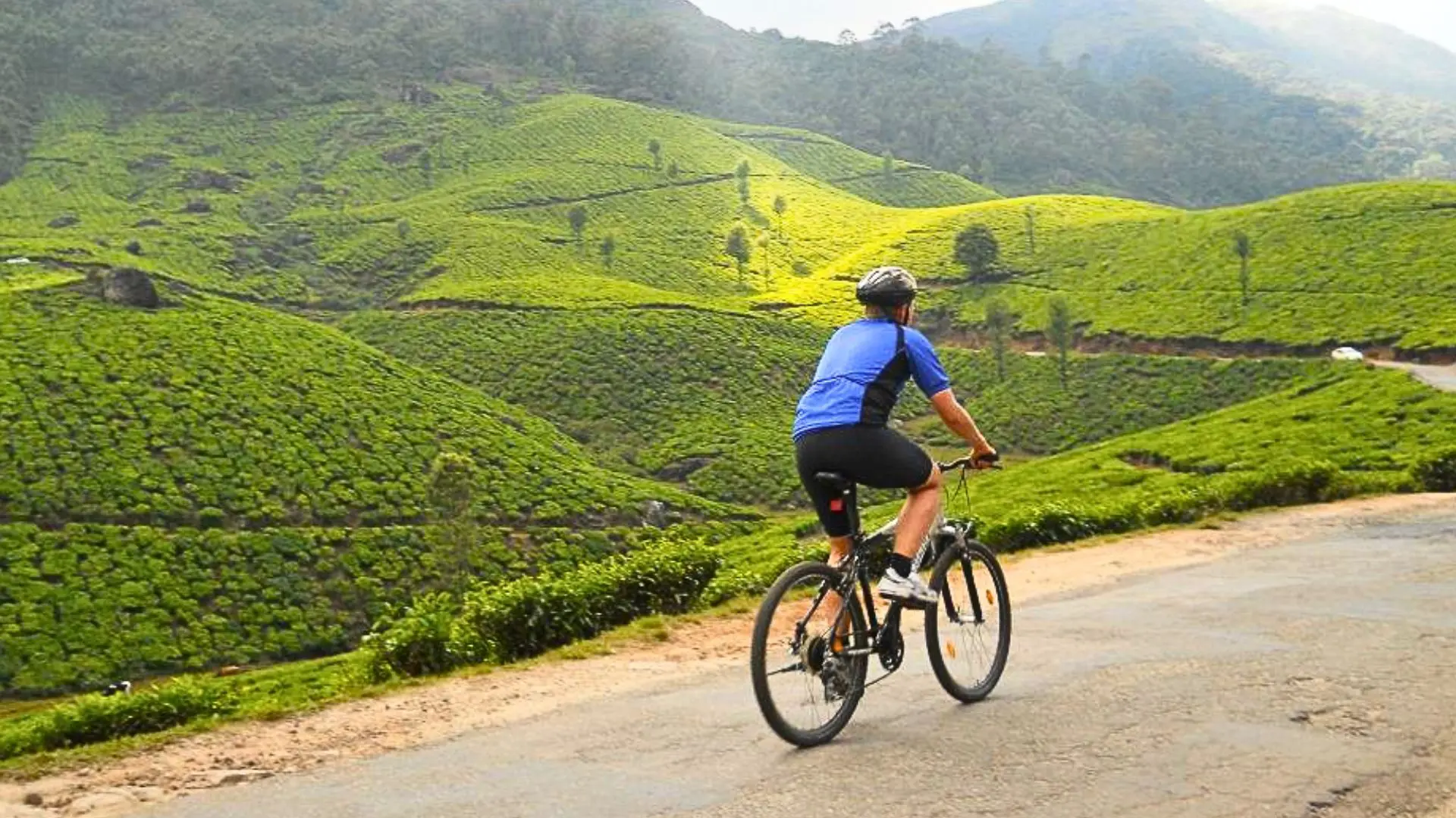 Munnar in December: Top 11 Things to do for a tourist