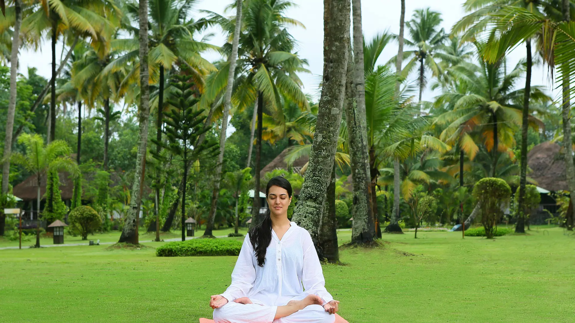 Top 10 Best Ayurvedic Hospitals in Kerala