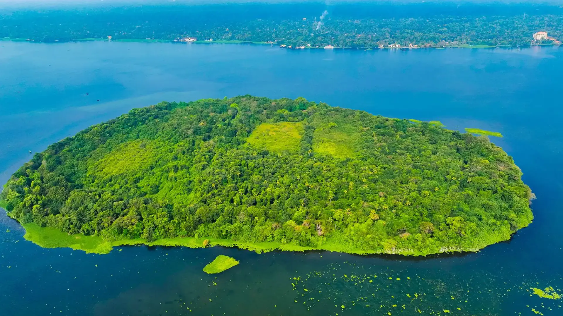 Best Time to Visit Alleppey- Temperature, Weather and Tips