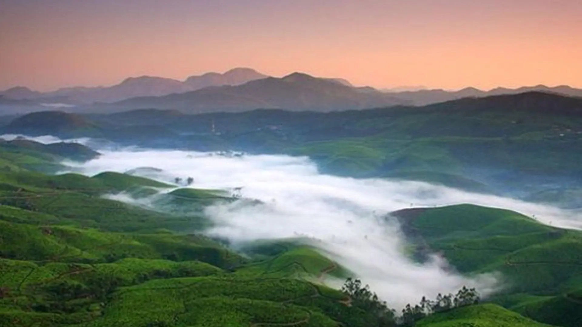Should You Visit Munnar in June?